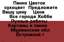 Панно Цветок - сухоцвет. Предложите Вашу цену! › Цена ­ 4 000 - Все города Хобби. Ручные работы » Картины и панно   . Мурманская обл.,Островной г.